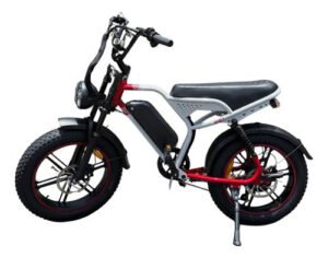Bicicleta Bike Elétrica  1000w 48v20ah Bw1 Nfc Pro Scooter